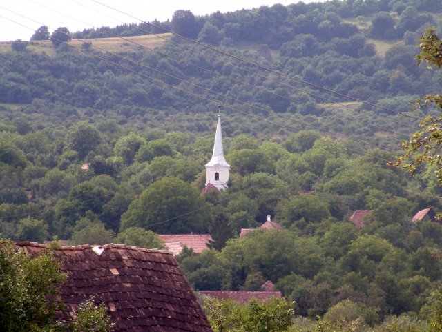 Medeser temploma a tajban.jpg